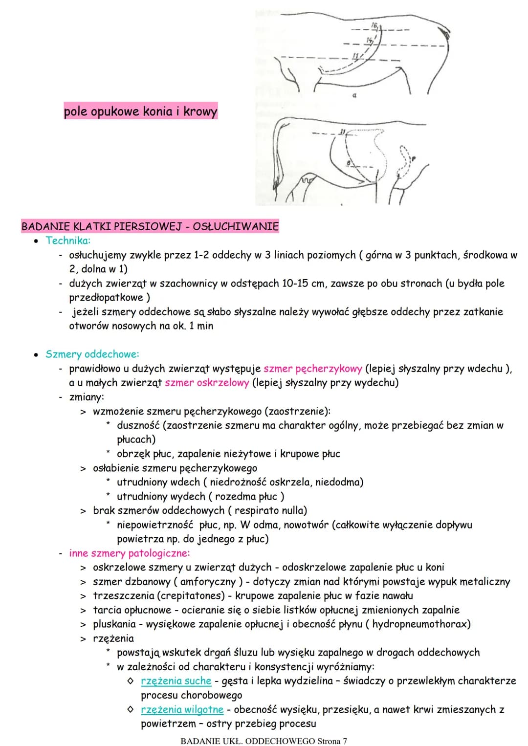 GDO- górne drogi oddechowe to:
● nos
• zatoki
● krtań
• worki powietrzne u jednokopytnych
• tchawica
BADANIE NOSA
• Ocena wydychanego powiet