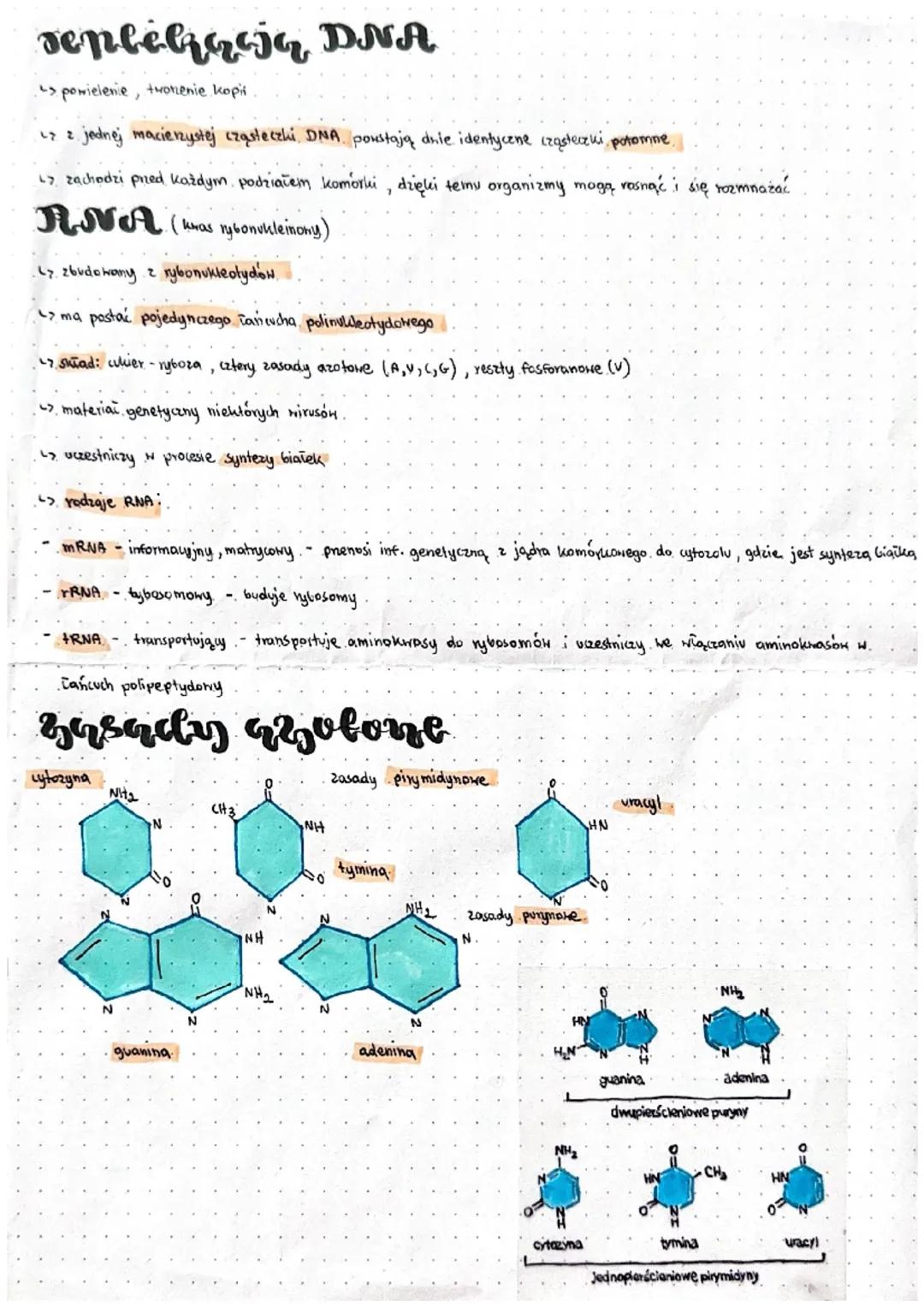 Nyklevkydy &
k yg sy mk le e none
brador é funkcje mrkleolycér
L> pięć pierwiastków chemicznych: Nagiel (C), Hodor (H), then (0), azot (N), 