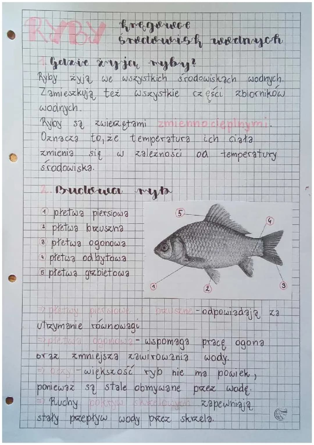 RYBY- kręgowce środowisk wodnych 