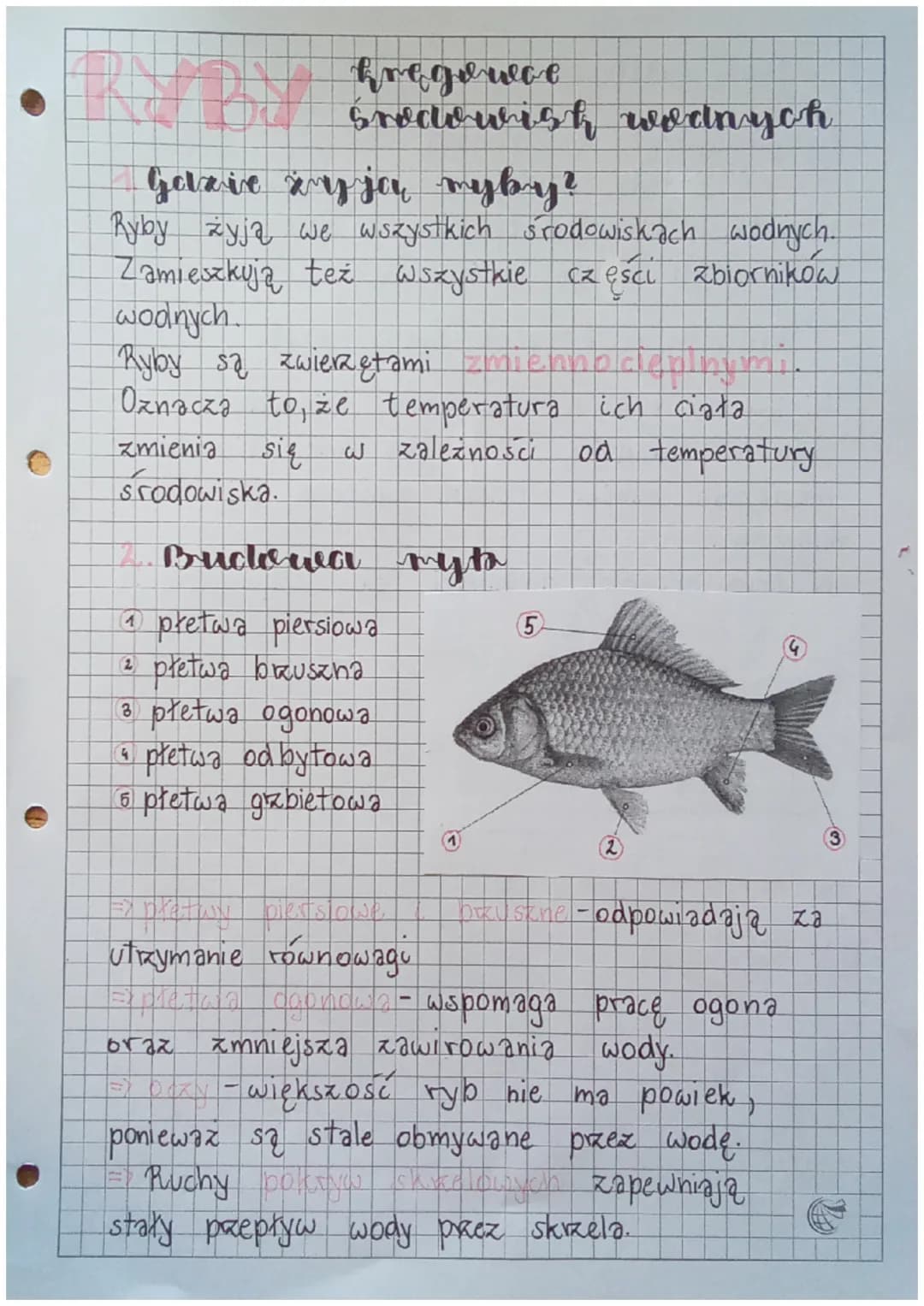 bregowce
środowish wodnych
B
Gezie żyją myby?
Ryby żyją we wszystkich środowiskach wodnych.
Zamieszkują też Wszystkie części
escu zbiornikow