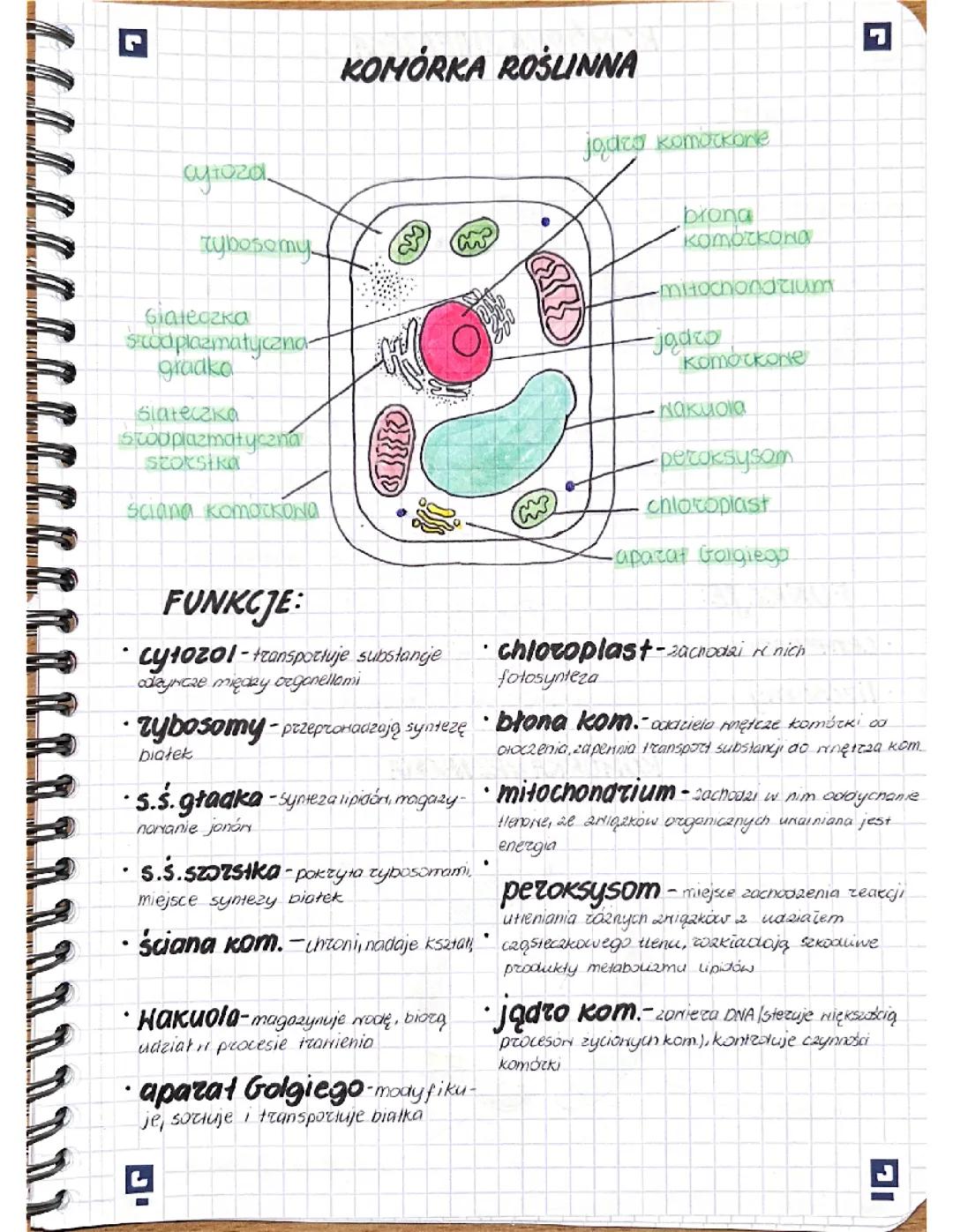 Komórka Roślinna i Jej Części