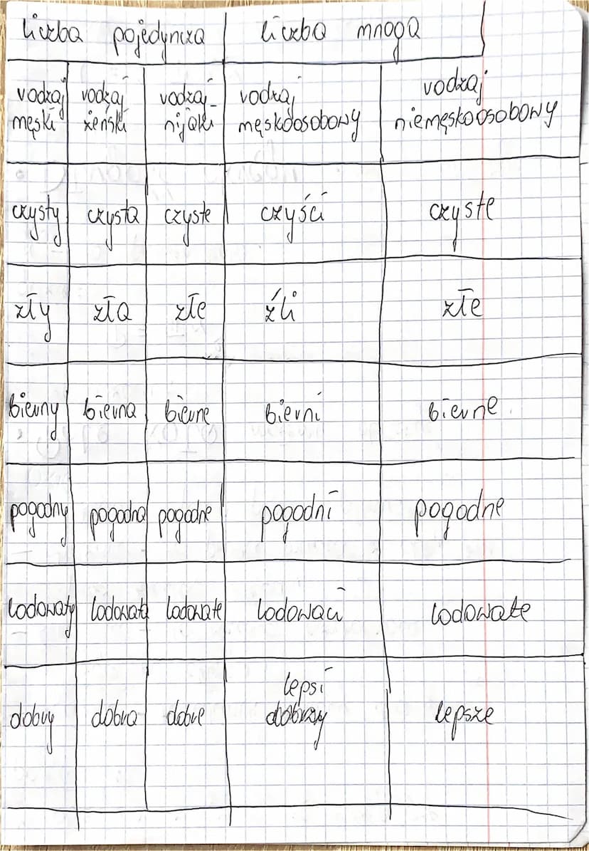 Puzymiotnik i jego znovrenie
odmiana puzymiotnika puzex
paypadki, liceby i vodzaje
il
Puzymiotnik - to odmienna CRęść mowy,
która określa de