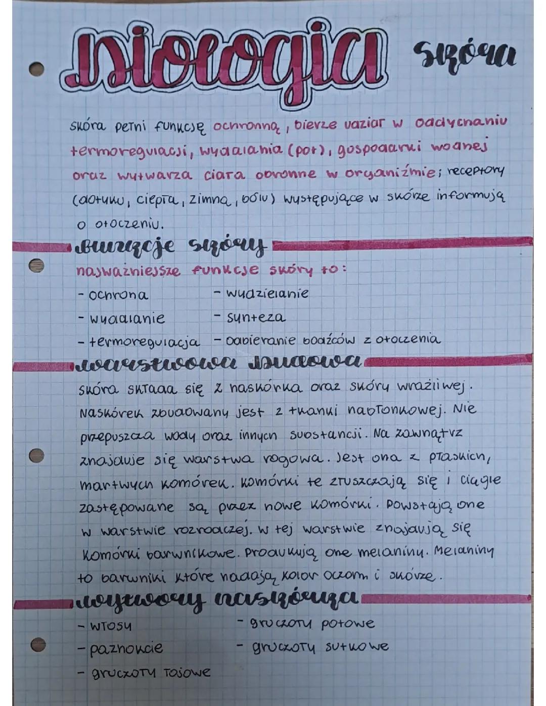 Skóra - Biologia