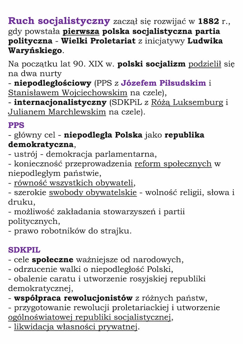 Działalność polityczna na
ziemiach polskich
W drugiej połowie XIX w. na ziemiach polskich zaczęły
powstawać liczne partie polityczne. Reprez