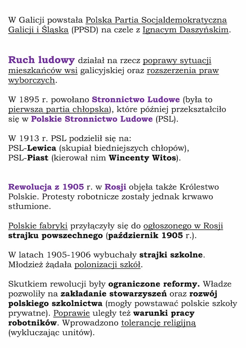 Działalność polityczna na
ziemiach polskich
W drugiej połowie XIX w. na ziemiach polskich zaczęły
powstawać liczne partie polityczne. Reprez