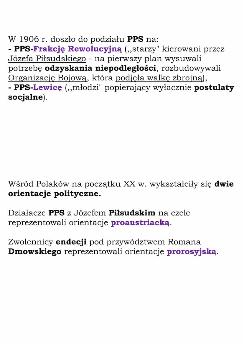 Działalność polityczna na
ziemiach polskich
W drugiej połowie XIX w. na ziemiach polskich zaczęły
powstawać liczne partie polityczne. Reprez