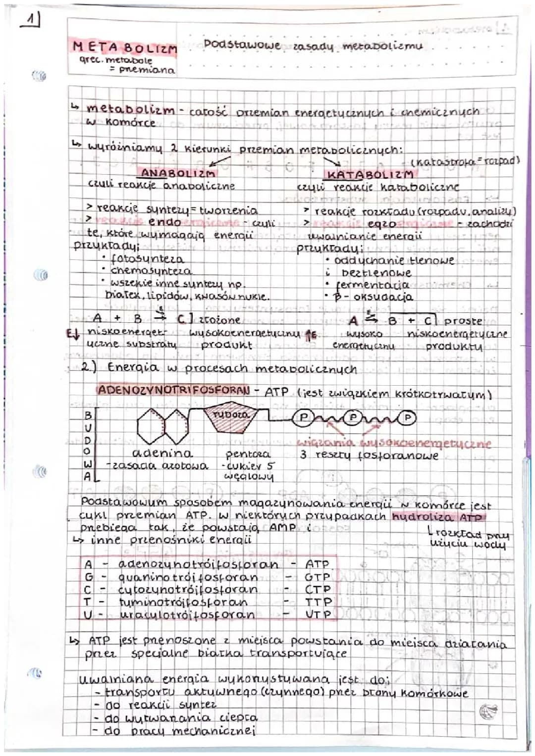 podstawowe zasady metabolizmu 