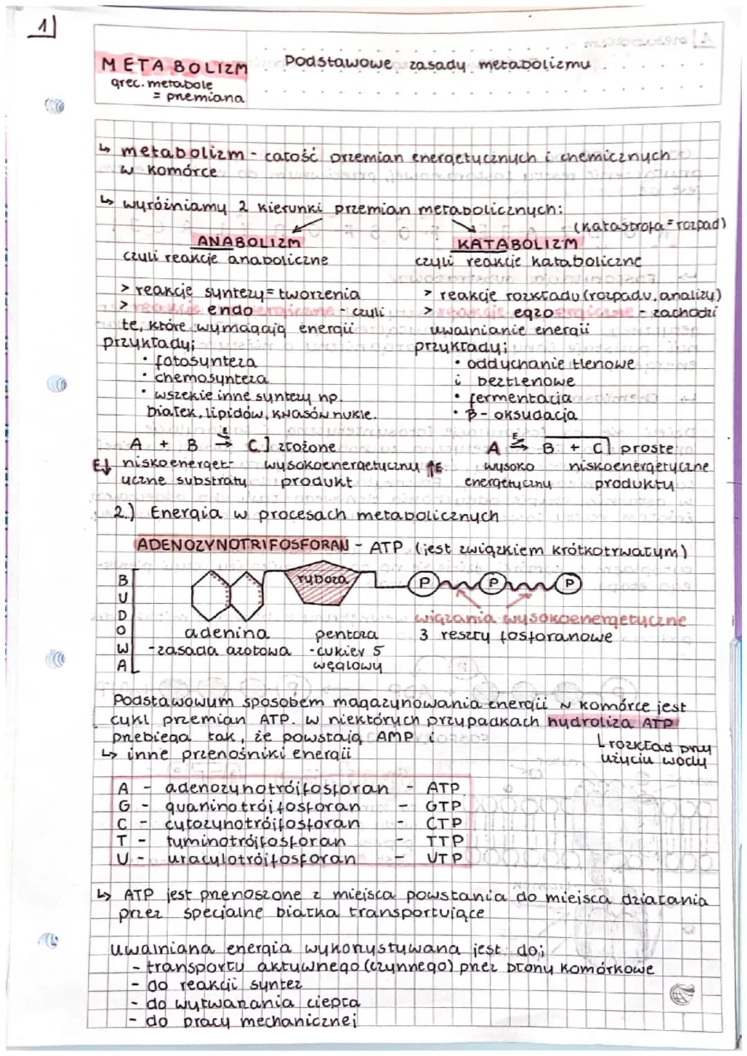 METABOLIZM
grec.metabole
↳s metabolizm - całość przemian energetycznych i chemicznych
w komórce
↳s wyróżniamy 2 kierunki przemian metabolicz