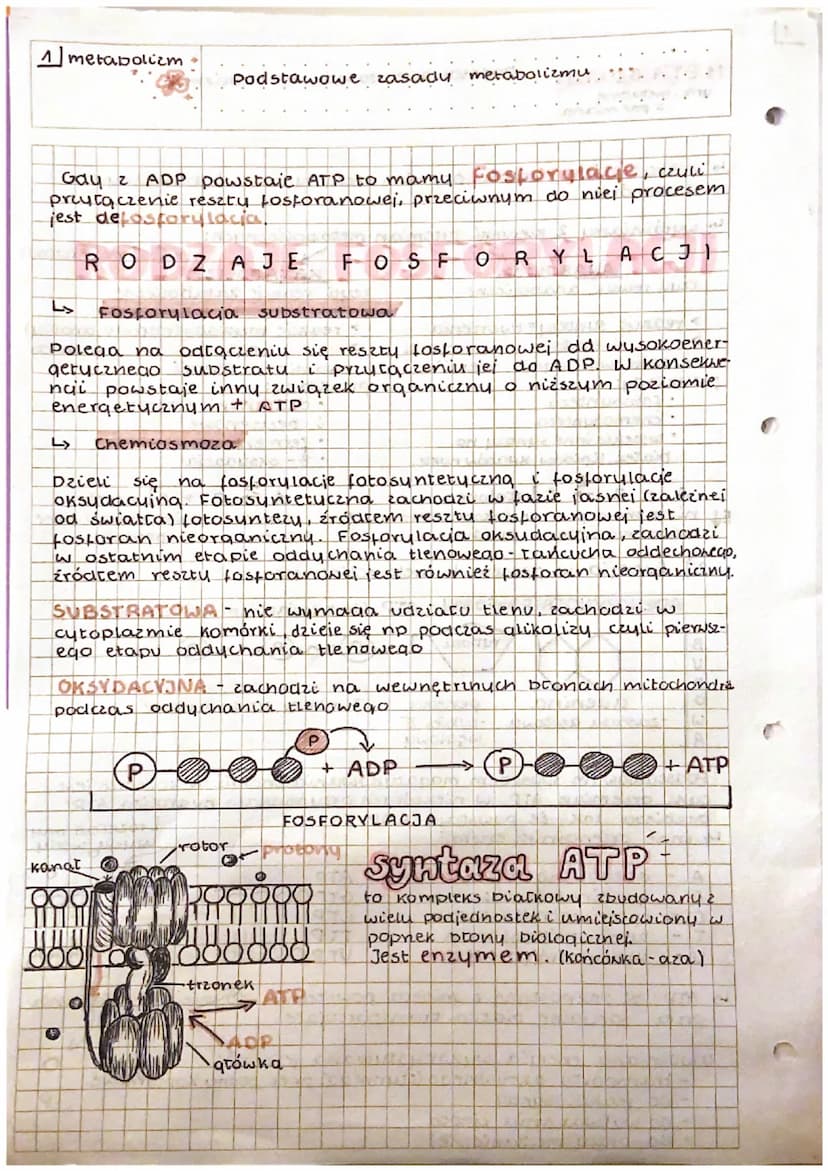 METABOLIZM
grec.metabole
↳s metabolizm - całość przemian energetycznych i chemicznych
w komórce
↳s wyróżniamy 2 kierunki przemian metabolicz