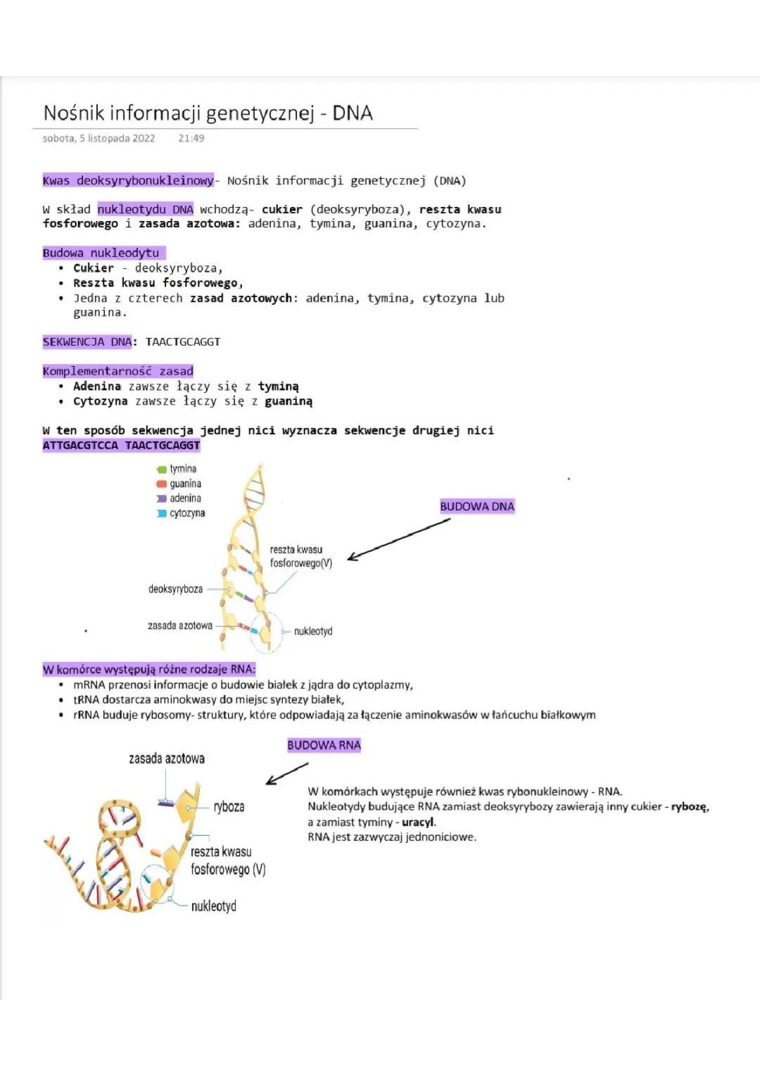nośnik informacji genetycznej - DNA