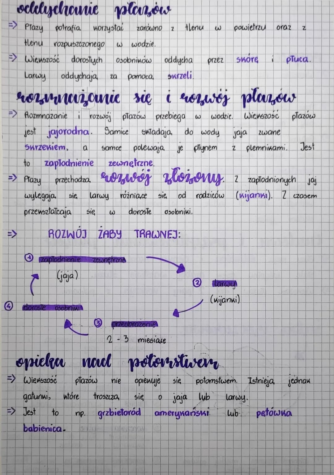 
<p>Większość płazów jest zwierzętami wodno-lądowymi, co oznacza, że żyją zarówno w wodzie, jak i na lądzie. Na czas rozrodu płazy wędrują d
