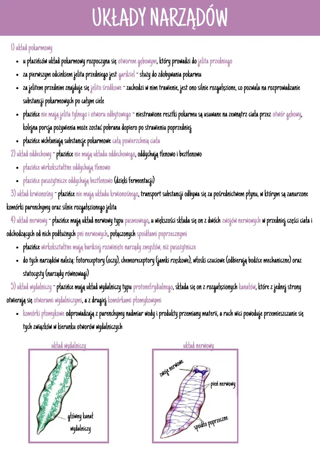 # POKRYCIE CIAŁA

*   ich tkanki wywodzą się z ektodermy, endodermy i mezodermy (trójwarstwowce)
*   mają wykształcone narządy i ich układy
