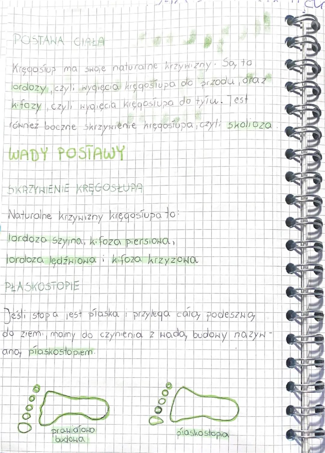 Higiena
choroby aparatu
ruchu
BIOLOGIA
W okresie wzrostu szkielet jest szczególnie
podatny na wszelkie odkształcenia zmiany.
JAK DRAC O APAR