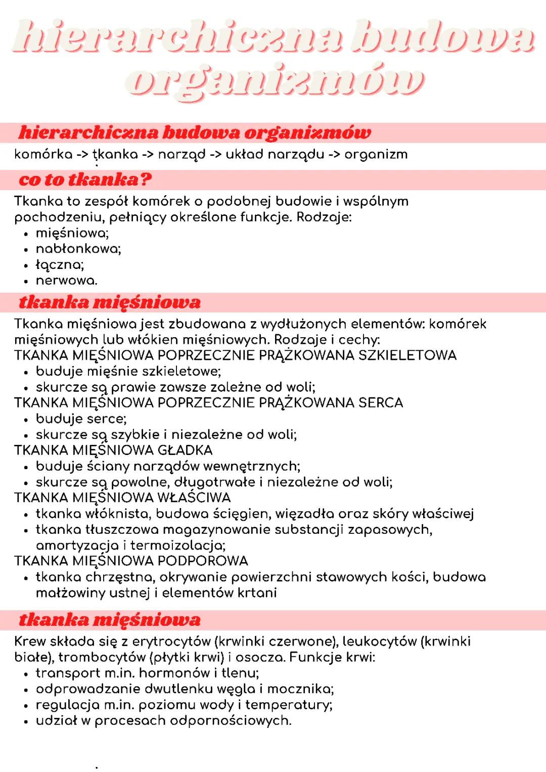 Hierarchiczna budowa organizmu człowieka - notatka i przykłady