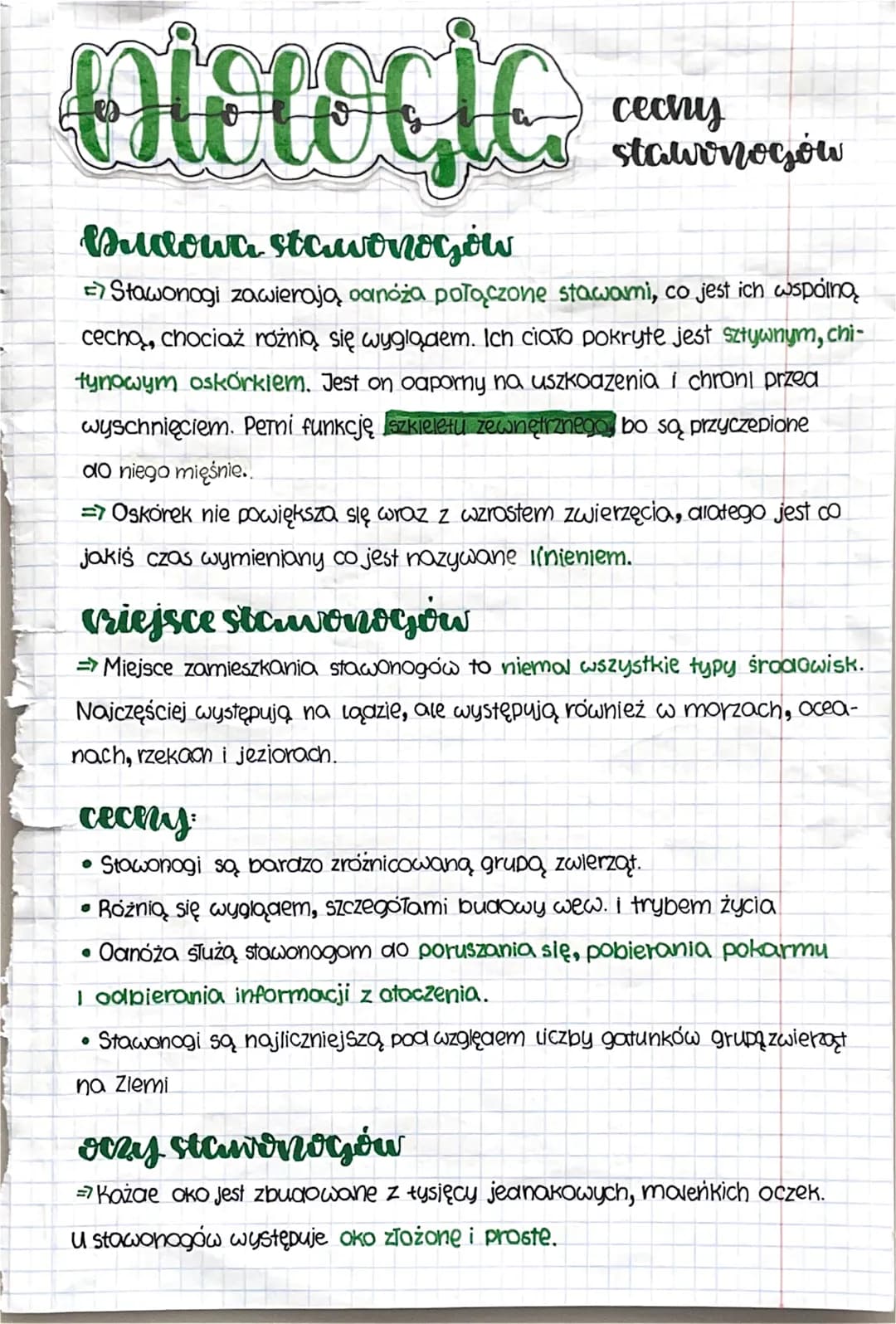 mtotocic
cechy
stawrnogów
Budowa stawonogów
Stawonogi zawierają odnóża połączone stawami, co jest ich wspólną
cechą, chociaż różnią się wygl