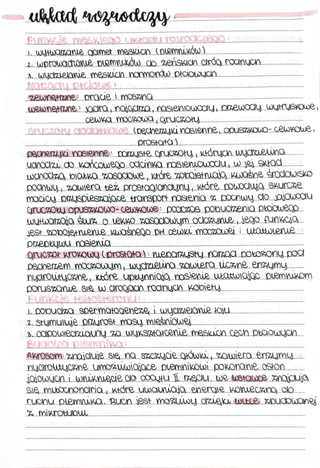 --- OCR Start ---
układ rozrodczy
Funkcie meskiego układu rozrockzeno:
1. wytwarzanie gamet meskion (Diemników)
2. wprowadzanie plemników co