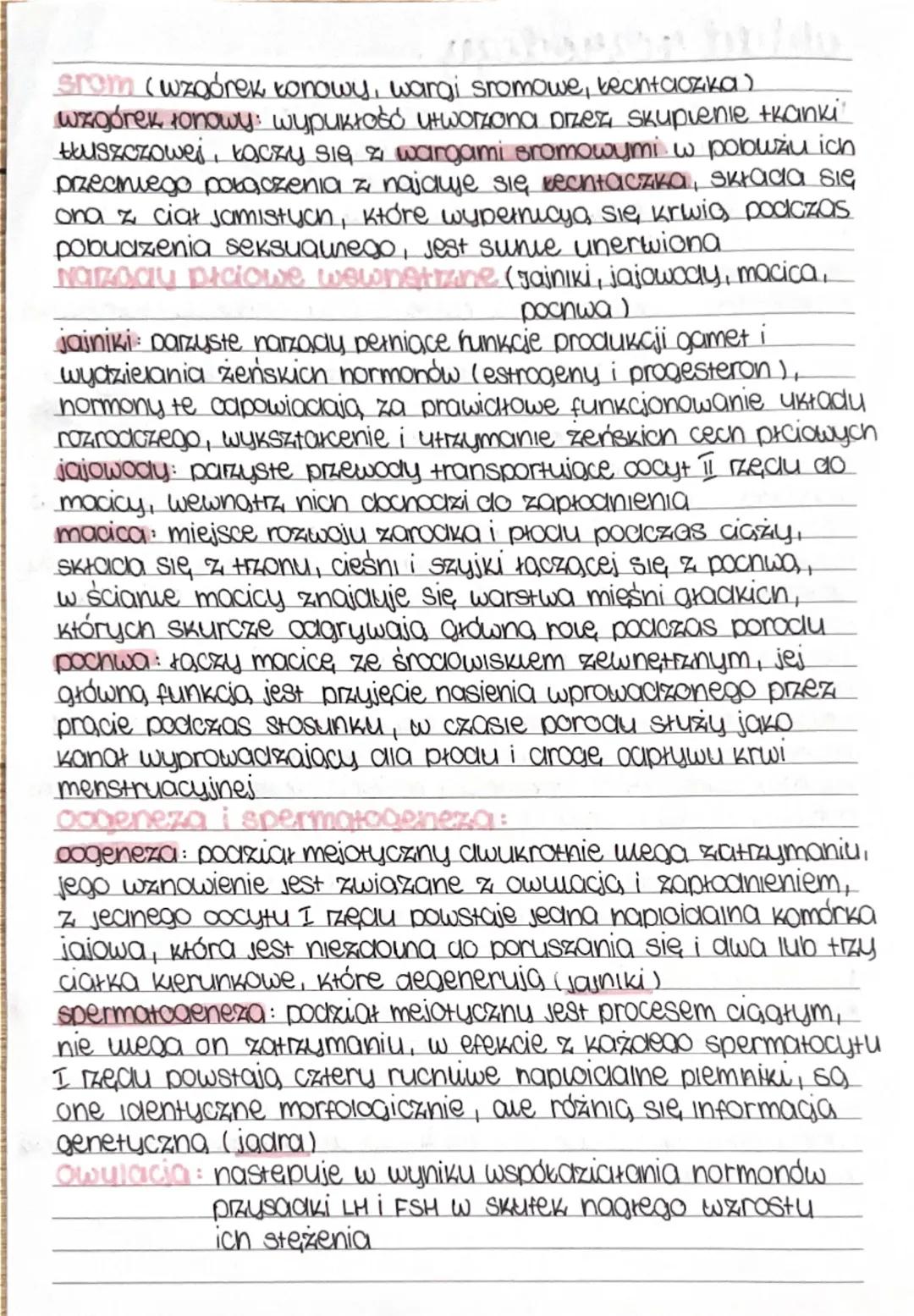 --- OCR Start ---
układ rozrodczy
Funkcie meskiego układu rozrockzeno:
1. wytwarzanie gamet meskion (Diemników)
2. wprowadzanie plemników co