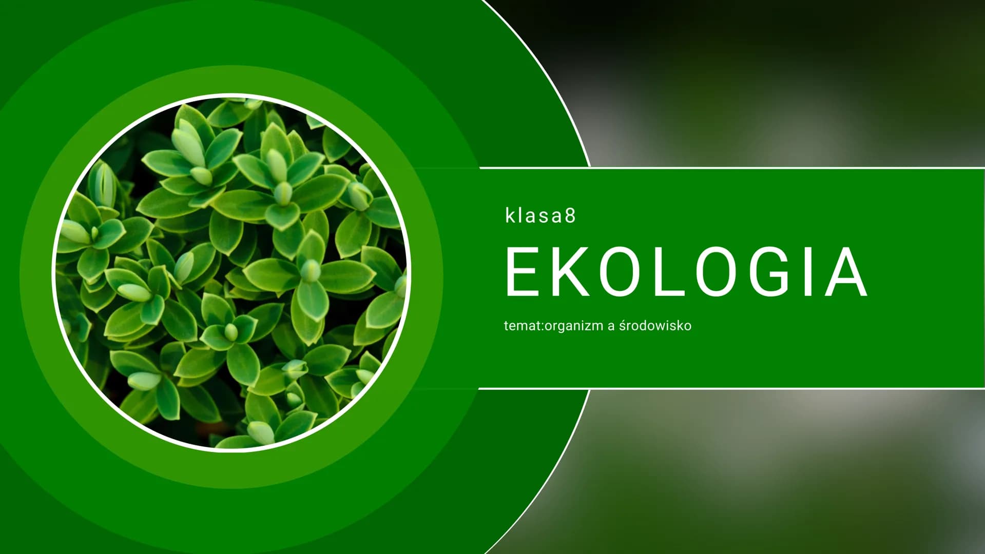 klasa8
EKOLOGIA
temat:organizm a środowisko ↑↑↑
co to jest ekologia?
Ekologia to nauka o strukturze i
funkcjonowaniu przyrody.
czym zajmuje 