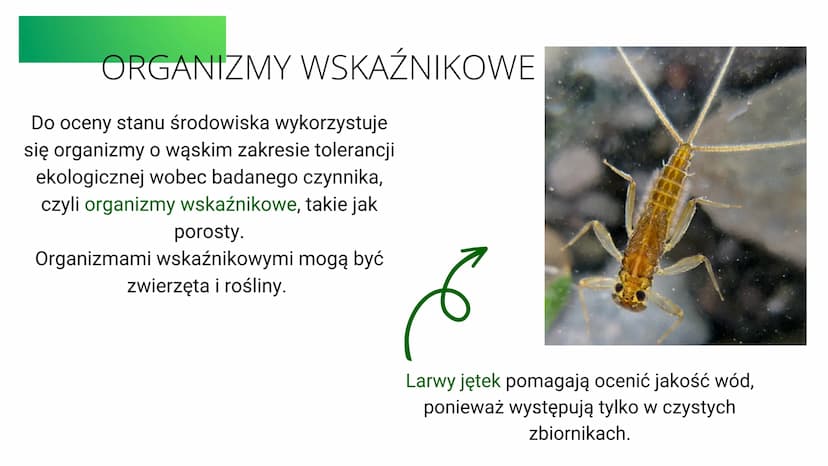 klasa8
EKOLOGIA
temat:organizm a środowisko ↑↑↑
co to jest ekologia?
Ekologia to nauka o strukturze i
funkcjonowaniu przyrody.
czym zajmuje 