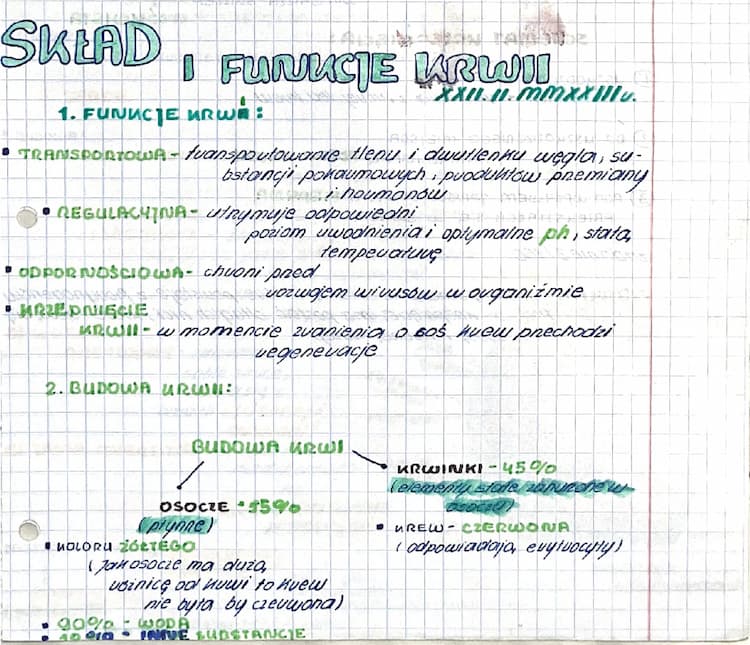 Know Układ Krążenia thumbnail