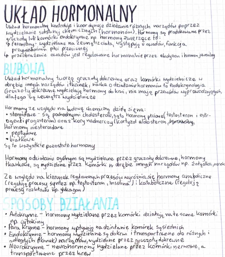 Know Układ hormonalny thumbnail