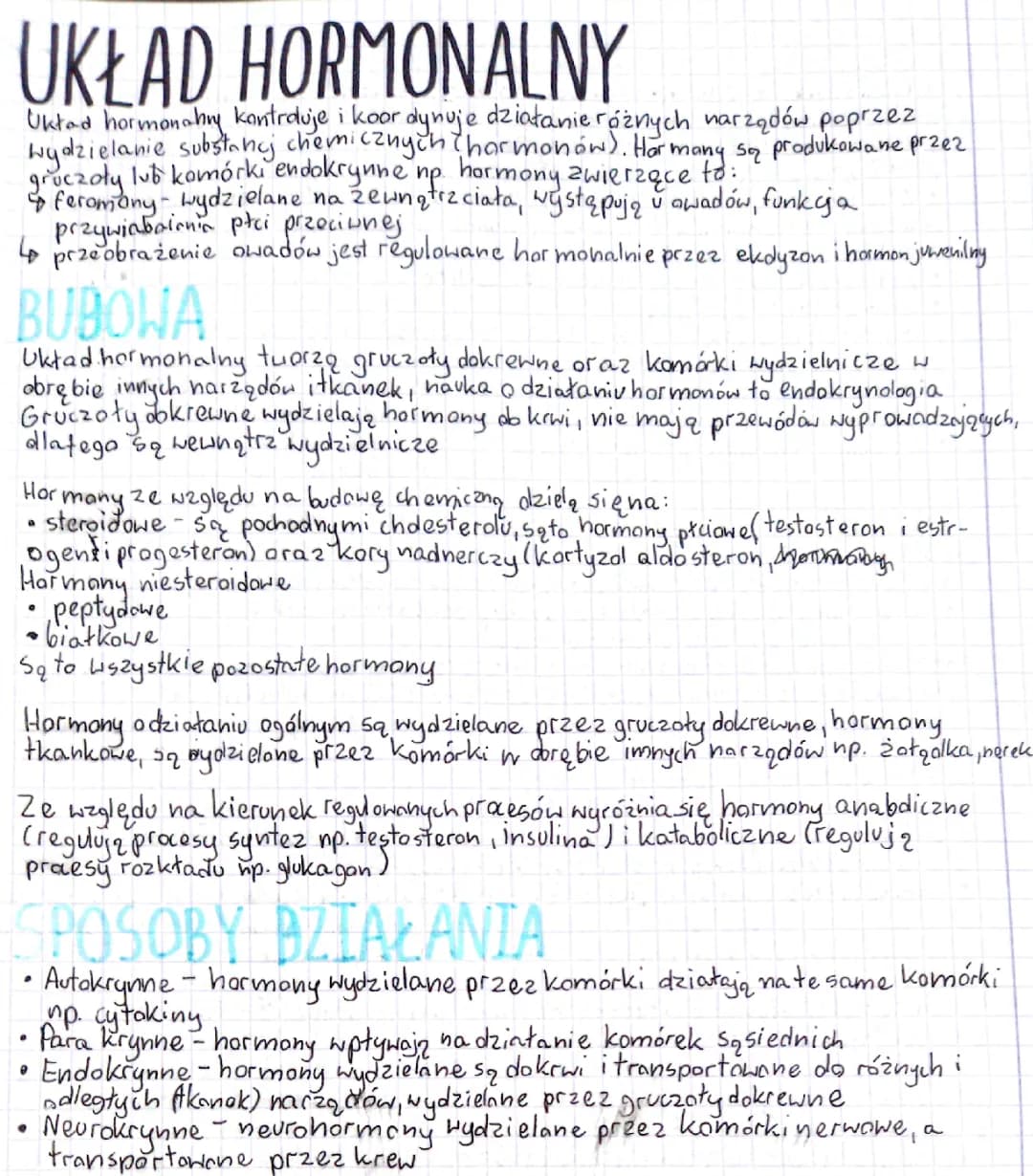 Układ hormonalny: Budowa, Funkcje i Choroby - Notatka dla dzieci