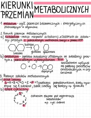 Know Kierunku przemian metabolicznych  thumbnail