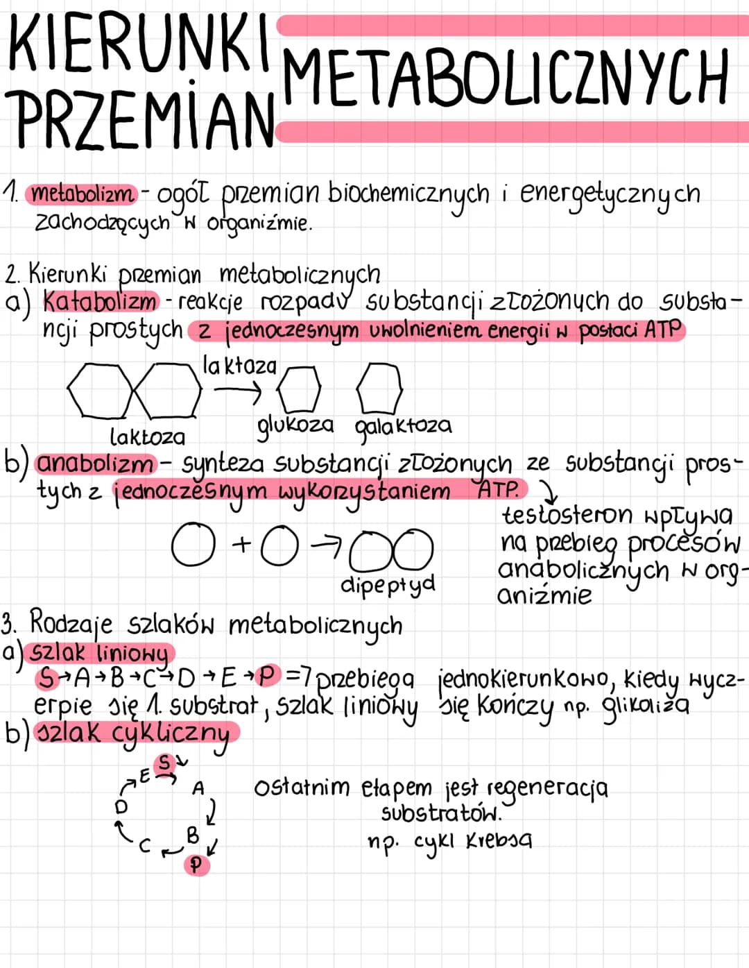 KIERUNKI METABOLICZNYCH
PRZEMIAN
1. metabolizm - ogół przemian biochemicznych i energetycznych
zachodzących w organizmie.
W
2. Kierunki prze