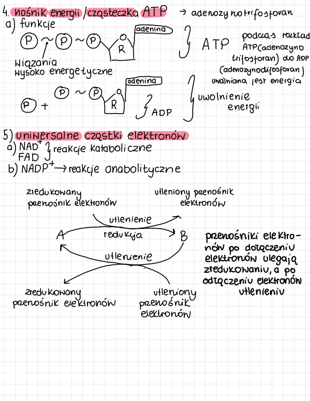 KIERUNKI METABOLICZNYCH
PRZEMIAN
1. metabolizm - ogół przemian biochemicznych i energetycznych
zachodzących w organizmie.
W
2. Kierunki prze