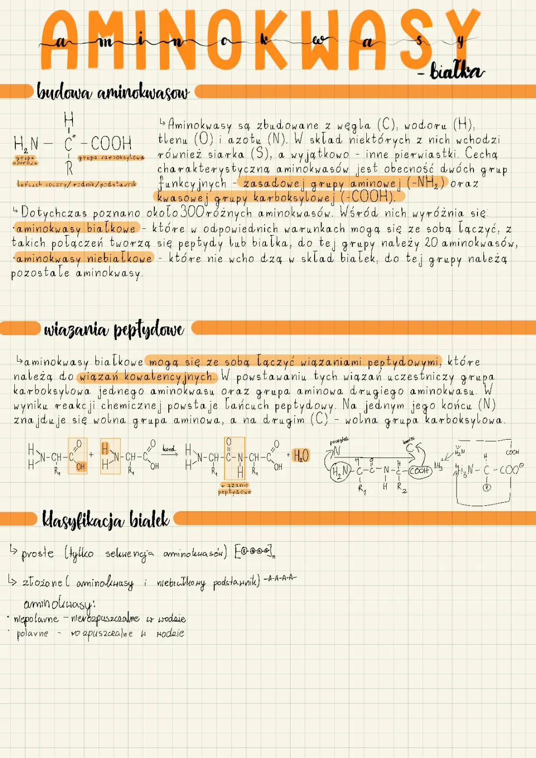 Aminokwasy (białka)