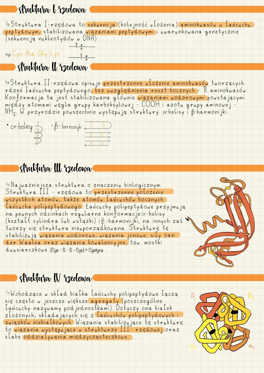 AMINOKWASY
Aminokwasy są zbudowane z węgla (C), wodoru (H),
tlenu (0) i azotu (N). W skład niektórych z nich wchodzi
również siarka (S), a w