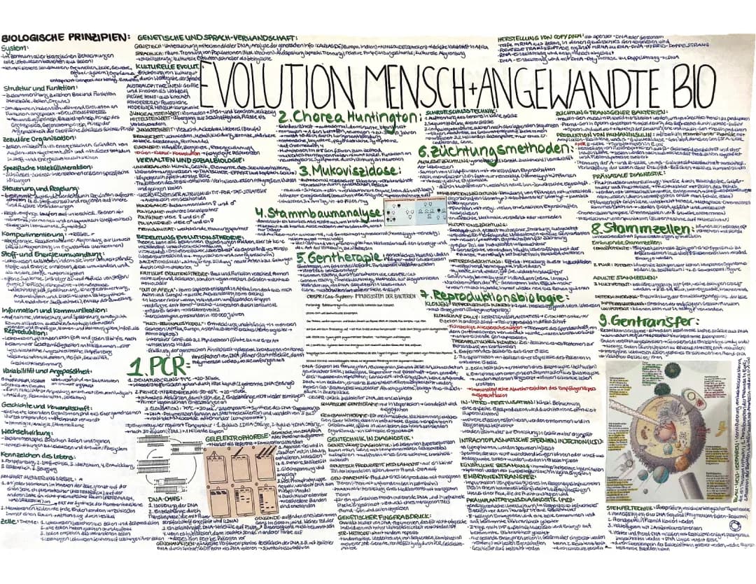Zbrodnia i kara - alles, was du wissen musst!