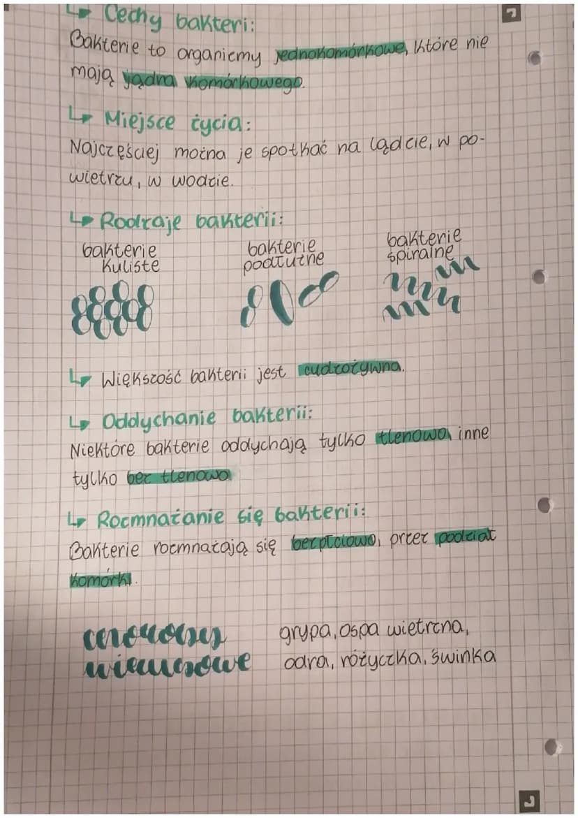 IG
miologia
œnice 3
Retrofizacja euganizmów
Lbystematyka to-driedeina biologii, której
głównym zadaniem jest podriat organizmów
na mniejsze 