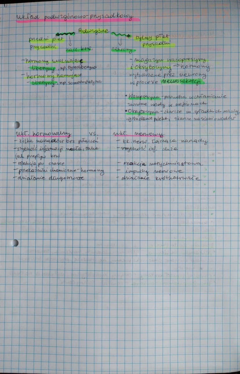 2. Regulacja wydnielania hormonow
Homorianie wycielania hormone przez jego
Benie zwrotne Phyni ande
na
tourorycy.
sprojence
11
podwzgórze
ho