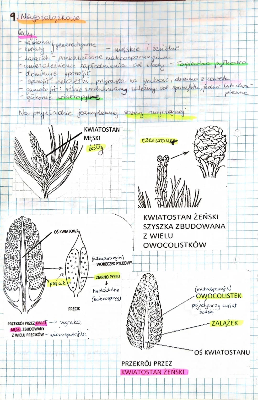 9. Nagotala ikowe
Cechy!
nasional
китасу
y generatywne
- saliek-pneksitałcone
męskie i
makrosporangium
umezależnienie capłodnienia od wady -