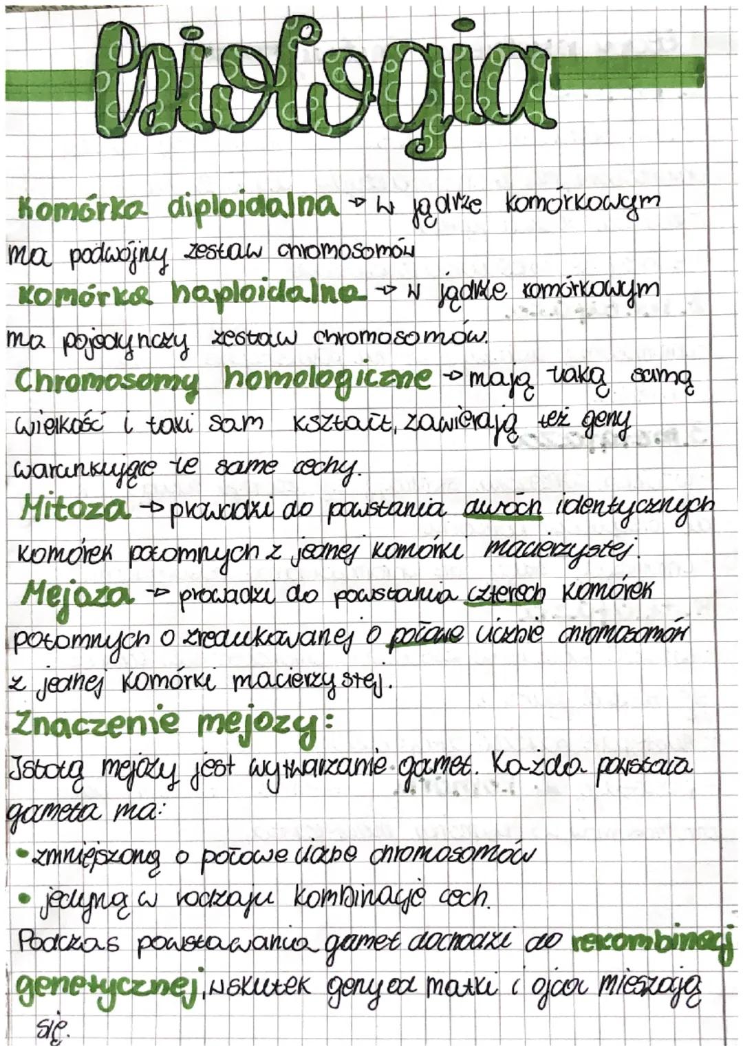 Różnice między mejozą a mitozą