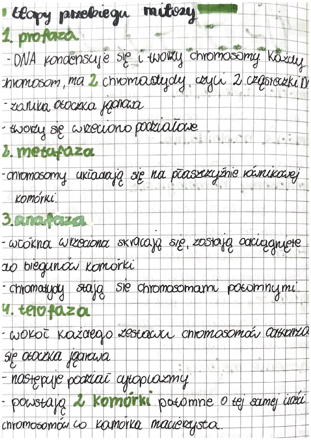 # hiologia-

Komórka diploidalna jaarke komórkowym
ma podwójny zestaw onromosomón
Komórka haploidalna jadike komórkowym
mosomow.
ma pojedync