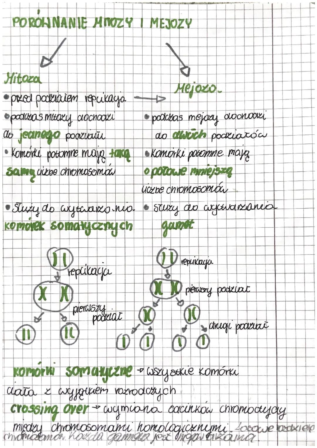 # hiologia-

Komórka diploidalna jaarke komórkowym
ma podwójny zestaw onromosomón
Komórka haploidalna jadike komórkowym
mosomow.
ma pojedync