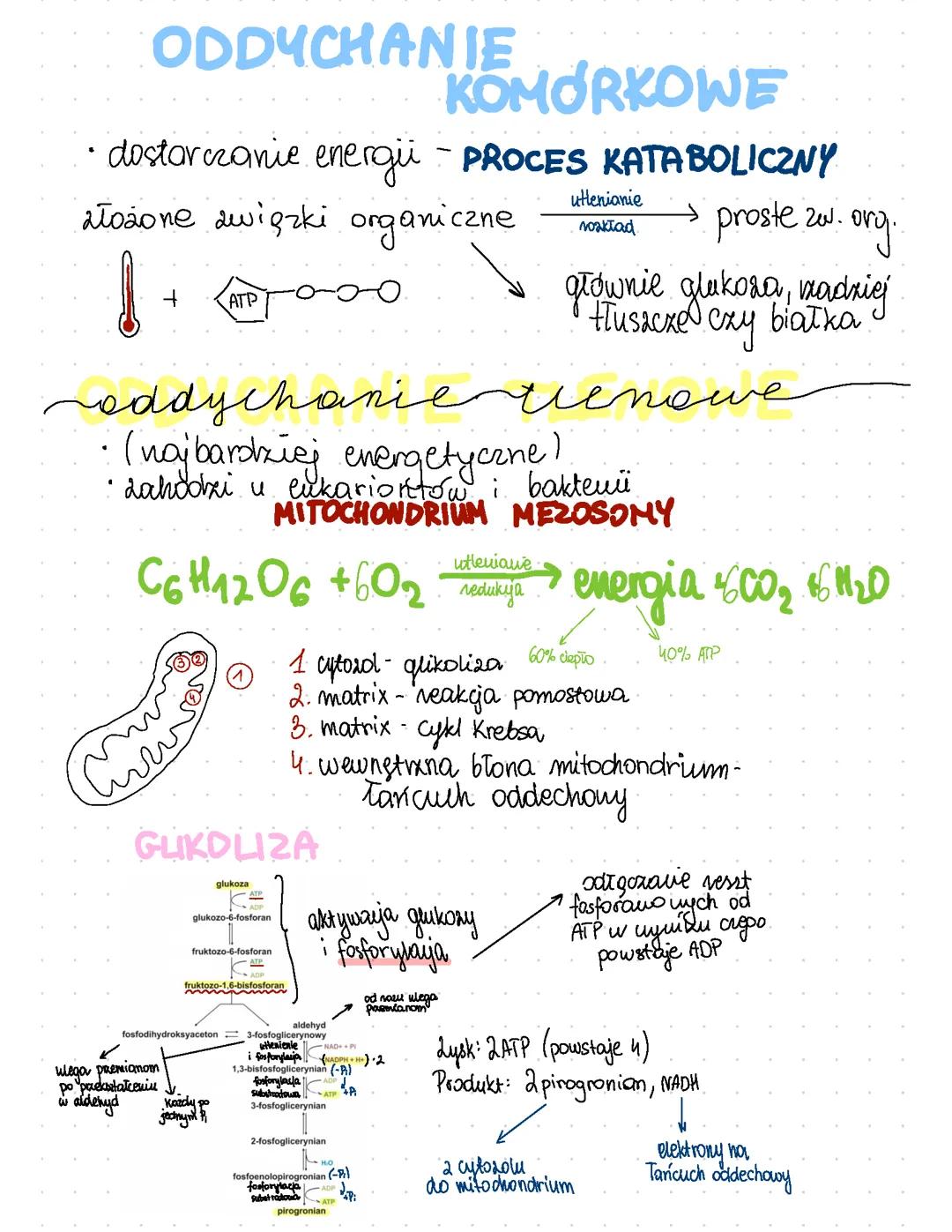 Oddychanie tlenowe i beztlenowe: Wprowadzenie