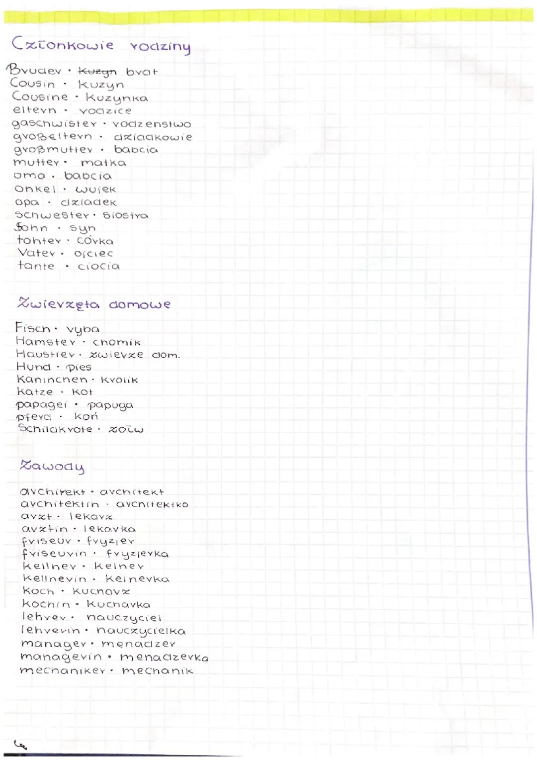 Członkowie rodziny, zwierzęta domowe, zawody – tłumaczenie na niemiecki