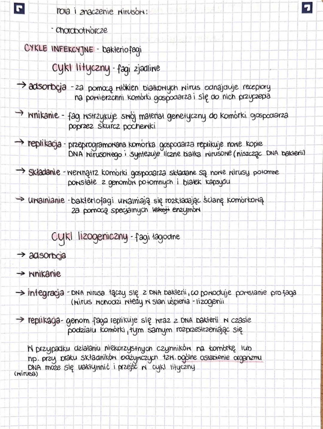 rola i znaczenie wirusón:
-Chorobotwórcze
CYKLE INFEKCYJNE - bakteriofagi

Cykl lityczny fagi zjadline

→ adsorbcja - za pomocą włókien biał