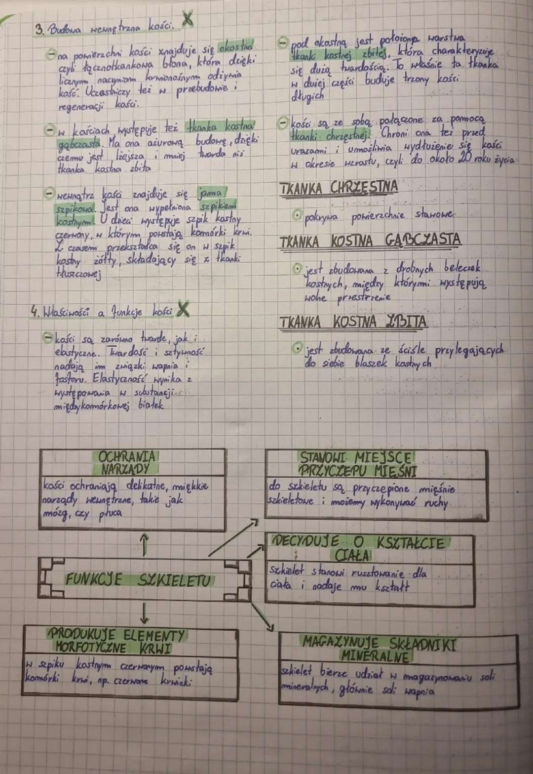 UKŁAD RUCHU
46.str.-69.str.
T: Ogólna budowa i funkcje szkieletu.
1. Budowa szkieletu człowieka
- szkielet osiowy
• y skład którego wchodzą 
