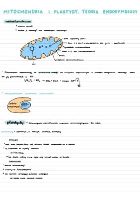 Know Mitochondria i plastydy. Teoria endosymbiozy thumbnail
