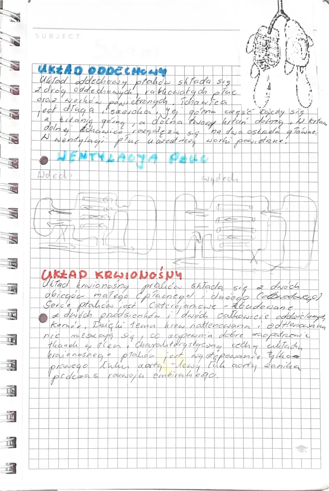 Ptaki
SUBJECT
PTAKI
PTAKI TO ORGANIZMY -
• palesque do judowować
owodnicwe , obrocieplay
pierwotnic indowe, paystosowane do ality o nego Lek