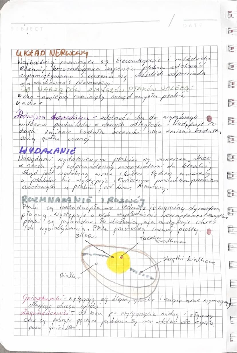 Ptaki
SUBJECT
PTAKI
PTAKI TO ORGANIZMY -
• palesque do judowować
owodnicwe , obrocieplay
pierwotnic indowe, paystosowane do ality o nego Lek