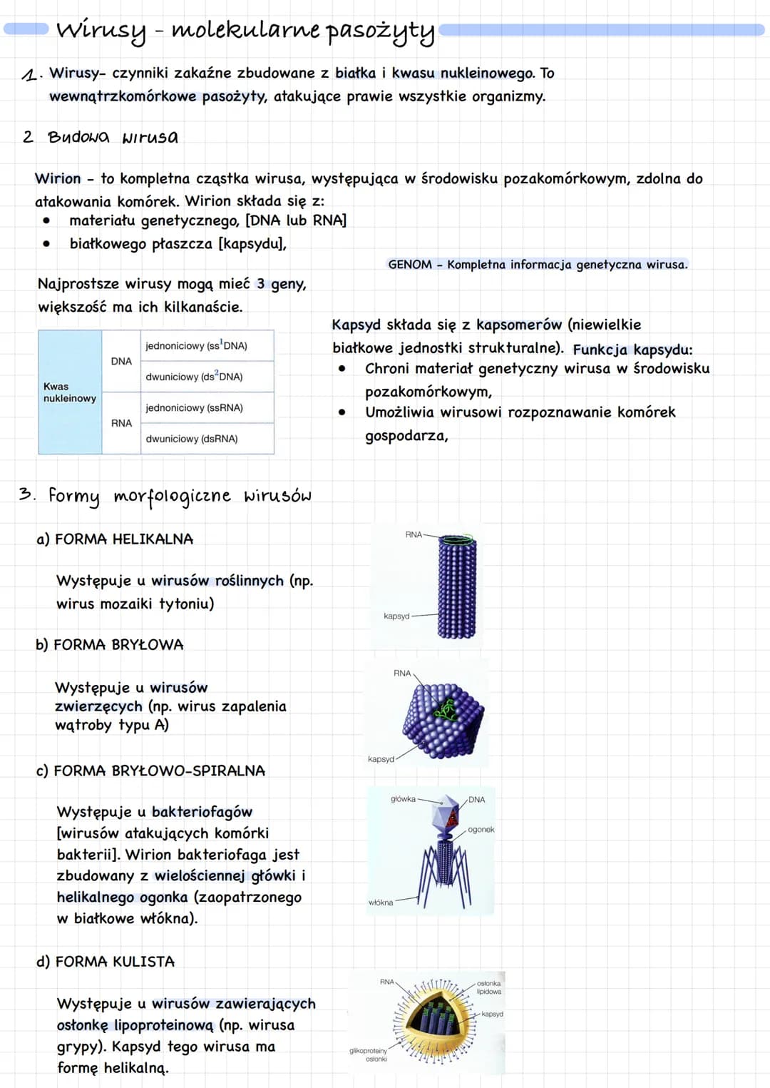 wirusy - molekularne pasożyty
1. Wirusy- czynniki zakaźne zbudowane z białka i kwasu nukleinowego. To
wewnątrzkomórkowe pasożyty, atakujące 