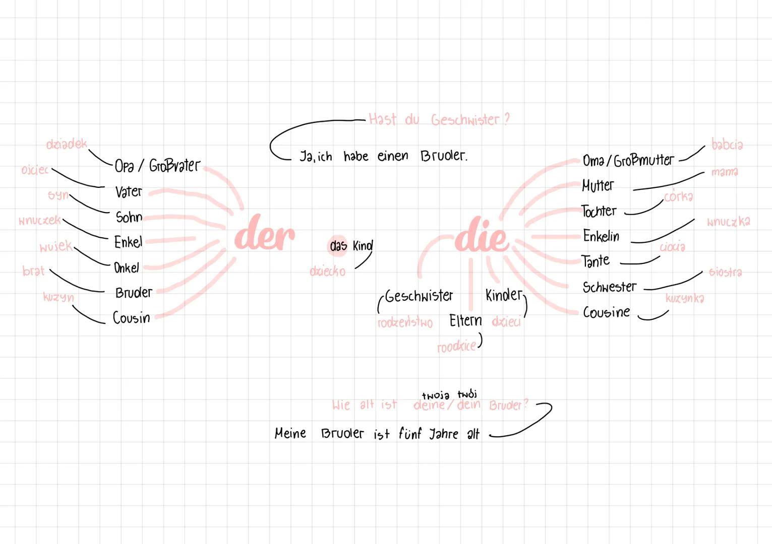 dziadek
ojciec
syn
wnuczek
brat
wujek.
kuzyn
-Opa / Großvater
Vater
Sohn
Enkel
Onkel
Bruder
Cousin
der
•Hast du Geschwister?
Ja, ich habe ei