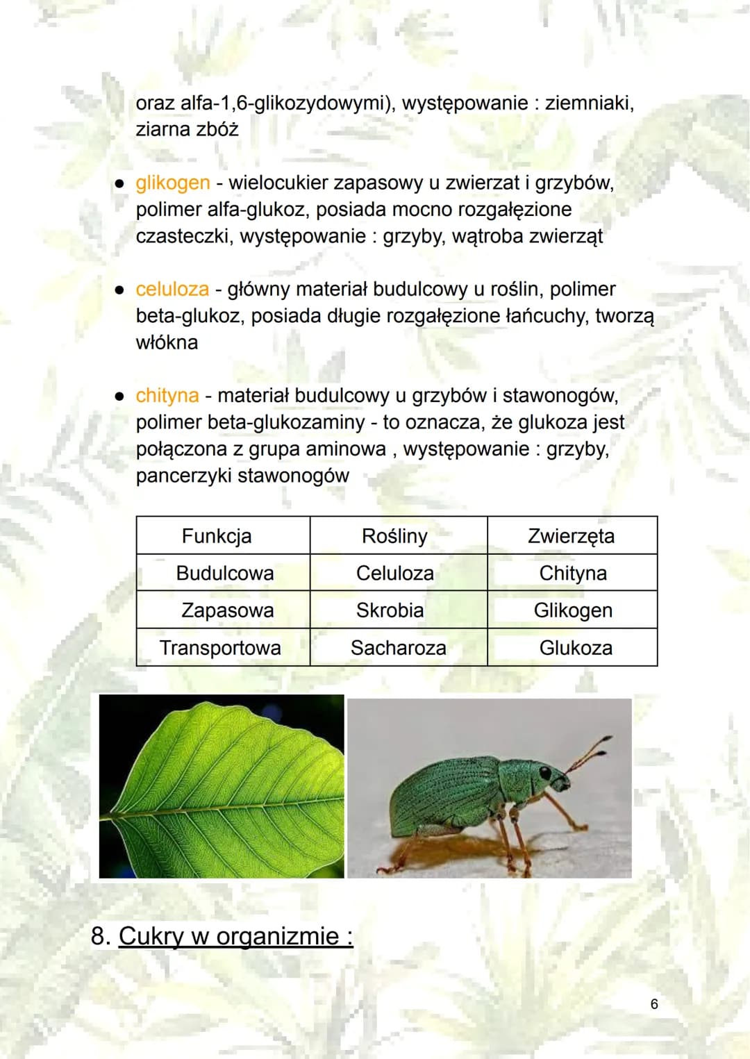 Sacharydy/ Węglowodany/ Cukry
Sacharydy - związki organiczne zbudowane z
łańcucha węglowego, grup hydroksylowych (-OH)
oraz grupy aldehydowe