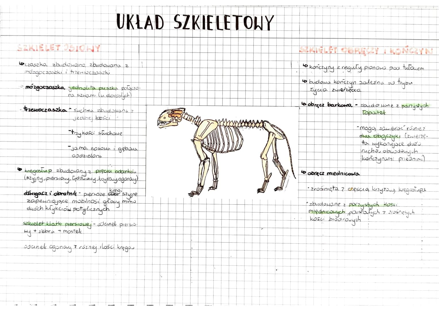 RÓŻNORODNOŚĆ
PRASSAKI
stekonce
PONTORA CIAŁA
składa się z:
Ssaki
↳ funkcja skóry:
"Zwierzęta stałocieplne.
kamienie młodych mlekiem motk!
•O