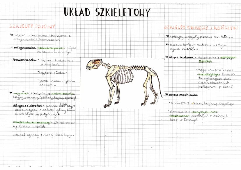 RÓŻNORODNOŚĆ
PRASSAKI
stekonce
PONTORA CIAŁA
składa się z:
Ssaki
↳ funkcja skóry:
"Zwierzęta stałocieplne.
kamienie młodych mlekiem motk!
•O